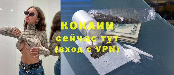 молекула духа Надым