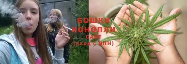 ГАЛЛЮЦИНОГЕННЫЕ ГРИБЫ Гусев