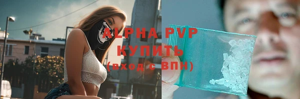 молекула духа Надым