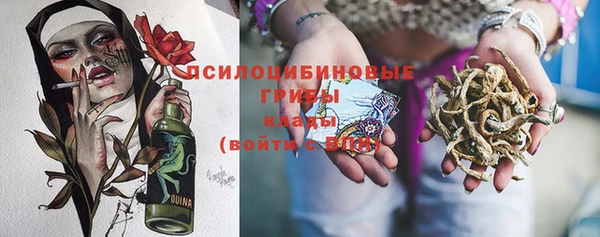 ГАЛЛЮЦИНОГЕННЫЕ ГРИБЫ Наволоки