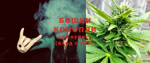 ГАЛЛЮЦИНОГЕННЫЕ ГРИБЫ Наволоки